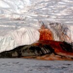 Por Que Essa Parte da Antártica Sangra Vermelho Escarlate