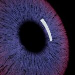 Family Offices: IA desvenda o futuro das finanças?