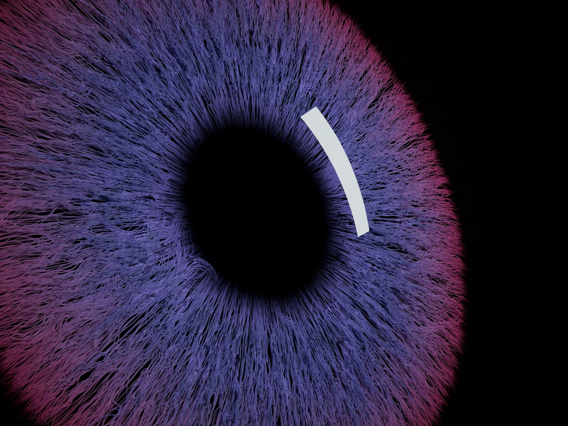 Family Offices: IA desvenda o futuro das finanças?