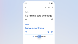 Google Tradutor: IA Decifra o Sentido!