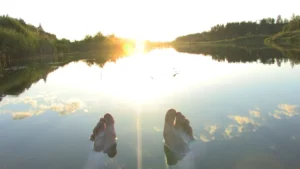 IA para Devs: Quem Está Vigiando?