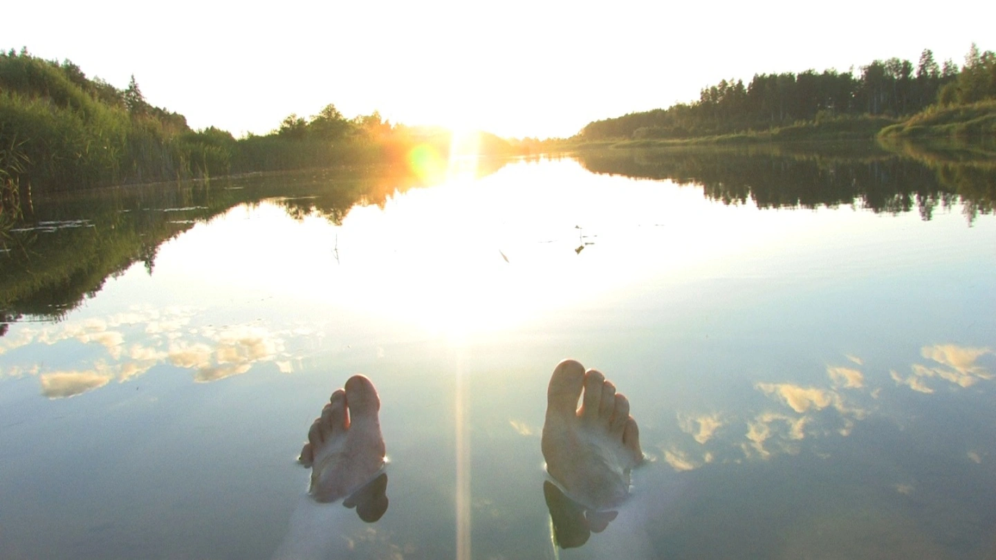 IA para Devs: Quem Está Vigiando?