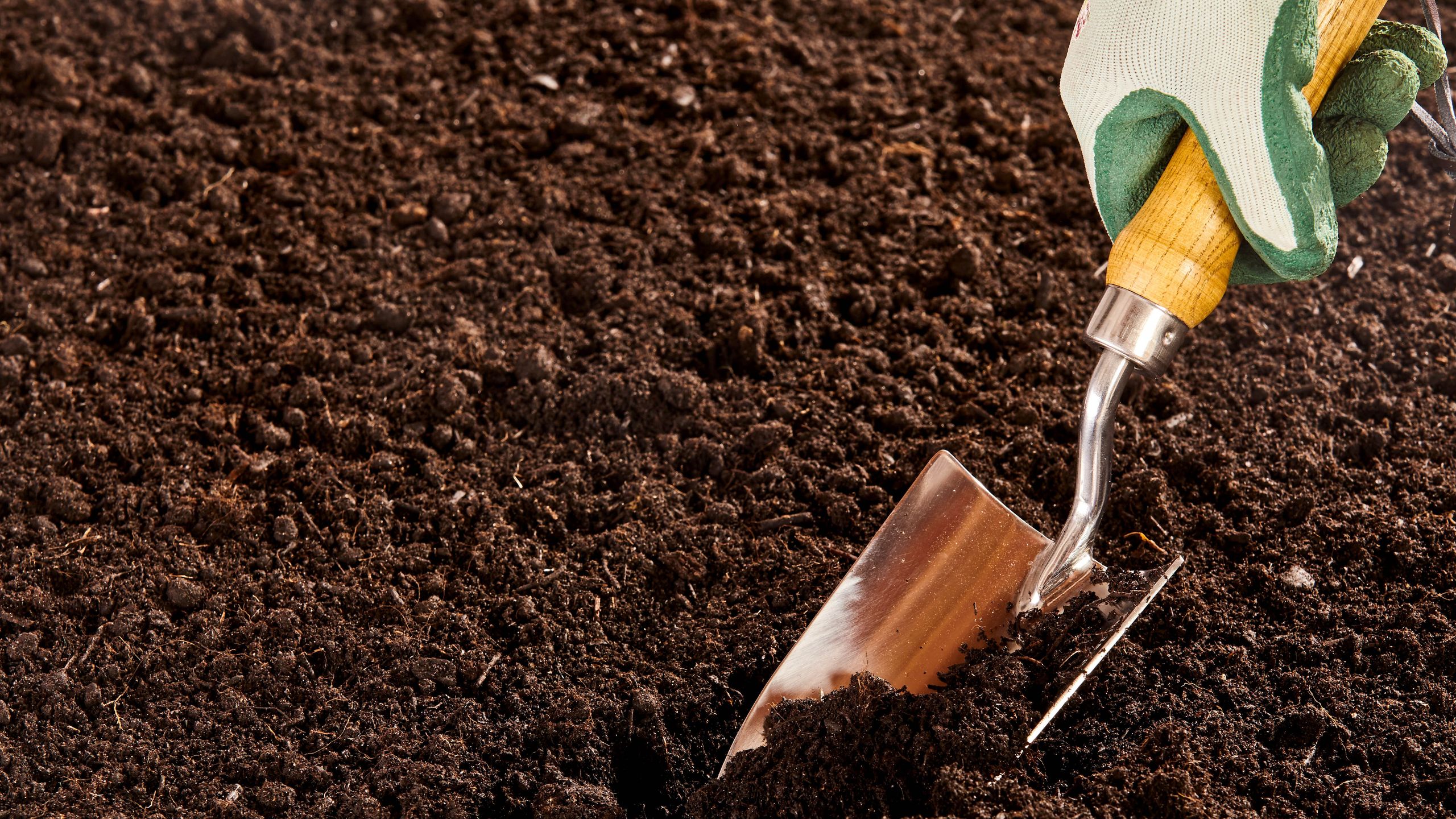 PARE de comprar terra errada: descubra a diferença entre topsoil e garden soil