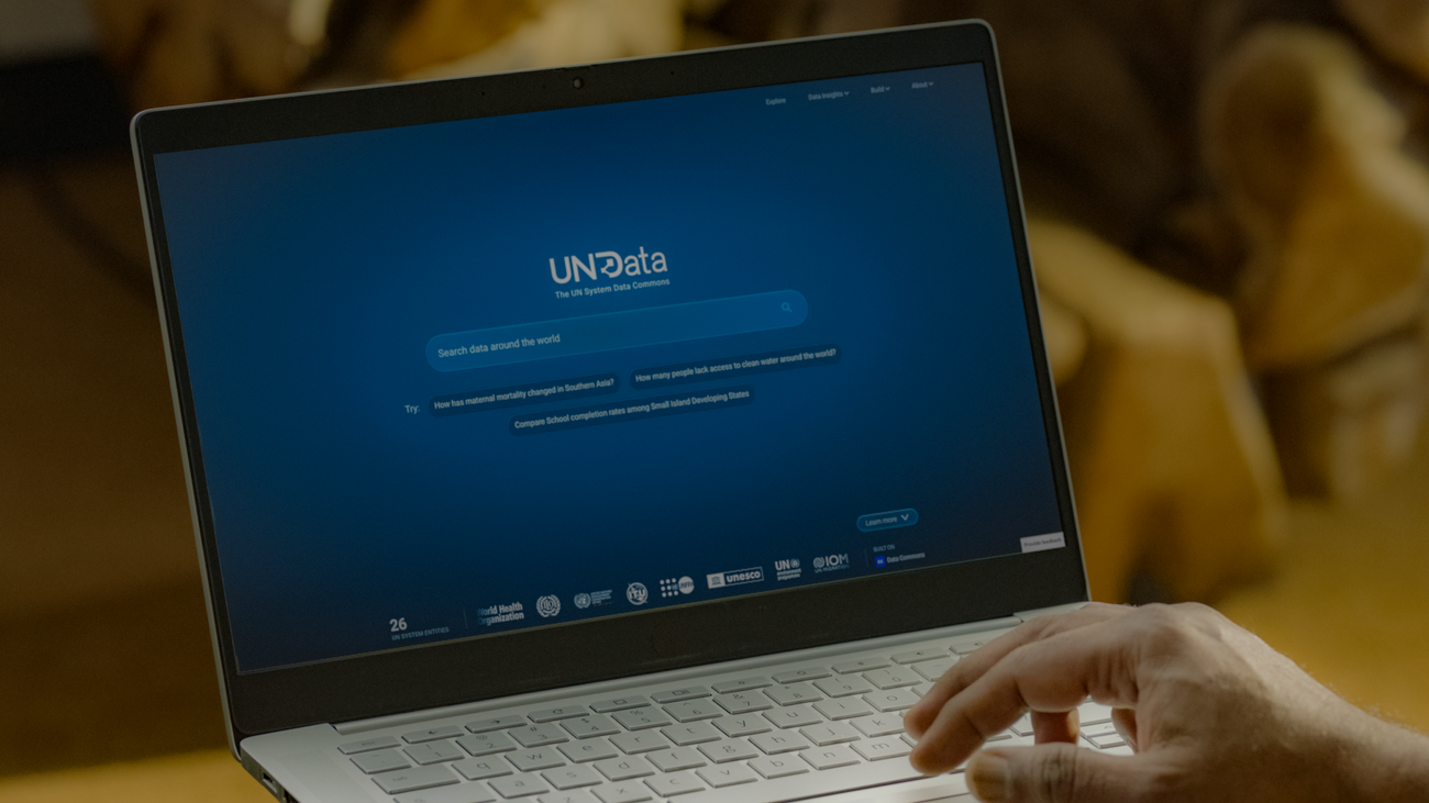 Google e ONU: A nova era dos dados globais.