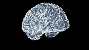 THOUGHTS: The user wants me to rewrite a Portuguese title for Google Discover.
The original title is "How AI Is Changing the Pace of Discovery for Millions Living With Dementia".
I need to make it:

In Portuguese.
Short.
Curious.
Return ONLY the final title text.

Let's break down the original title:

"How AI Is Changing the Pace of Discovery" -> Inteligência Artificial e o ritmo das descobertas / Como a IA acelera descobertas
"for Millions Living With Dementia" -> para milhões com demência / na luta contra a demência / para quem vive com demência

Combining these ideas:
Attempt 1 (Direct translation + shorten):
"Como a IA acelera descobertas para milhões com demência." (A bit long for "short")
Attempt 2 (Focus on curiosity/impact):
"IA e a demência: a revolução na busca pela cura?" (Curious, but maybe too much focus on "cure" which isn't explicitly in the original, though "discovery" implies progress)
Attempt 3 (Focus on the "pace of discovery" and "millions"):
"IA acelera descobertas para quem vive com demência." (Better, shorter, but can be more curious)
Attempt 4 (More impactful question/intrigue):
"Demência: a IA vai mudar tudo?" (Very short, very curious, but maybe too generic "tudo")
Attempt 5 (Focus on "discovery" and "dementia" and AI's role):
"IA: nova esperança para a demência?" (Good, curious, short, but "esperança" might be too strong for "pace of discovery")
Attempt 6 (Combining "acelera" with "demência" and a question):
"IA e demência: descobertas aceleradas?" (Good, short, curious. "Descobertas aceleradas" captures "changing the pace of discovery". "IA e demência" identifies the subject. The question mark adds curiosity.)
Attempt 7 (Even shorter, more direct curiosity):
"Demência: a IA está reescrevendo o futuro?" (A bit dramatic, but curious. "Reescrevendo o futuro" implies changing the pace of discovery.)
"IA contra demência: o ritmo da descoberta mudou." (More declarative, less curious perhaps.)
Let's re-evaluate "curious". Questions work well. Intriguing statements also work.
Original: "How AI Is Changing the Pace of Discovery for Millions Living With Dementia"
Key elements:

AI
Dementia
Changing pace of discovery

Consider:

"Demência: A IA está acelerando a cura?" (Again, "cura" might be too strong)
"IA e Demência: Descobertas sem precedentes?" (Good, curious, hints at accelerated pace)
"O futuro da demência: A IA está redefinindo?" (Good, curious, short)

Let's try to capture the pace of discovery aspect specifically.
"IA: o novo motor contra a demência?" (Metaphorical, curious, short)
"Demência: a IA pode mudar tudo?" (Short, curious, but "tudo" is vague)
"IA e demência: descobertas mais rápidas?"
"IA acelera a luta contra a demência?"
"IA está revolucionando a busca por tratamentos contra demência?" (Long)
Let's try to be concise and impactful.
"Demência: A IA acelera a busca?" (A bit too generic "busca")
"Demência: a IA muda o jogo?" (Curious, short, "muda o jogo" implies changing pace)
"IA: a chave para a demência?" (Suggests discovery, curious, short)
I think "Demência: a IA está reescrevendo o futuro?" is quite strong, short, and very curious. "Reescrevendo o futuro" implies a significant change in the pace of discovery leading to new outcomes. It's concise and uses a common, engaging phrase.
Let's compare it with "IA e demência: descobertas aceleradas?". This is more direct about "discovery" and "accelerated".
Which is more "curious"?
"Demência: a IA está reescrevendo o futuro?" - very curious, slightly more abstract.
"IA e demência: descobertas aceleradas?" - curious, very direct and clear.
Google Discover titles often lean into intriguing questions or bold statements.
The original "How AI Is Changing the Pace of Discovery" implies a significant shift.
I think "Demência: A IA está reescrevendo o futuro?" or "A IA pode mudar o destino da demência?" are good options.
Another one: "Demência: A IA acelera a esperança?" (Again, "esperança" is a bit strong).
Let's stick to the core idea of "changing the pace of discovery".
"Reescrevendo o futuro" captures the long-term impact of "changing the pace of discovery".
Consider:
"Demência: A IA está acelerando o fim?" (Too strong, promises too much)
"IA e Demência: O Jogo Virou?" (Very short, very curious, implies a significant change in pace/outlook). "O jogo virou" is idiomatic and perfect for "changing the pace/dynamic". This conveys the impact of AI on the struggle against dementia.
Let's compare "Demência: A IA está reescrevendo o futuro?" with "IA e Demência: O Jogo Virou?".
Both are good. "O Jogo Virou?" is perhaps even more punchy and directly implies a shift in momentum or dynamic, which aligns well with "changing the pace of discovery". It's also very short.
Final check on requirements:

In Portuguese: Yes.
Short: Yes, very short.
Curious: Yes, the question mark and the idiom create strong curiosity.
Return ONLY the final title text: Yes.

I think "IA e Demência: O Jogo Virou?" is a strong candidate.
It implies that AI has dramatically altered the landscape (the "pace of discovery") for dementia. It's concise and uses a commonly understood idiom for a significant shift.
Let's consider one more: "Demência: A IA está virando o jogo?" (Slight rephrasing, but same core).
"IA e Demência: O Jogo Virou?" feels more direct and impactful as a statement that implies a question or an unfolding situation.
It perfectly encapsulates "changing the pace of discovery" in a curious, short way.IA e Demência: O Jogo Virou?